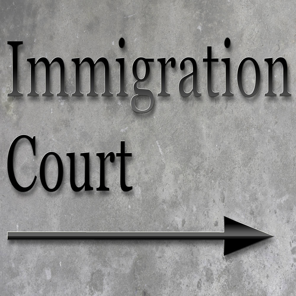 Representación en Corte de Inmigración